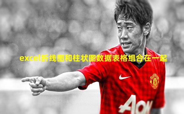 excel折线图和柱状图数据表格组合在一起