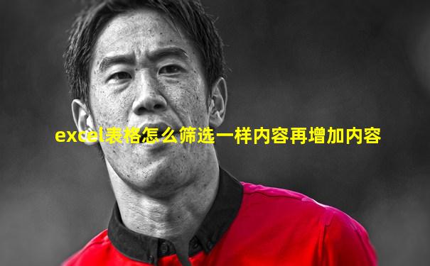 excel表格怎么筛选一样内容再增加内容