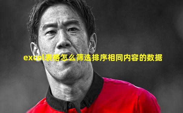 excel表格怎么筛选排序相同内容的数据