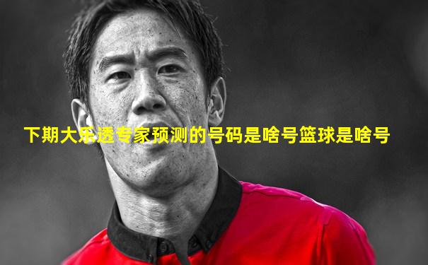 下期大乐透专家预测的号码是啥号篮球是啥号