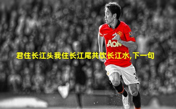 君住长江头我住长江尾共饮长江水,下一句