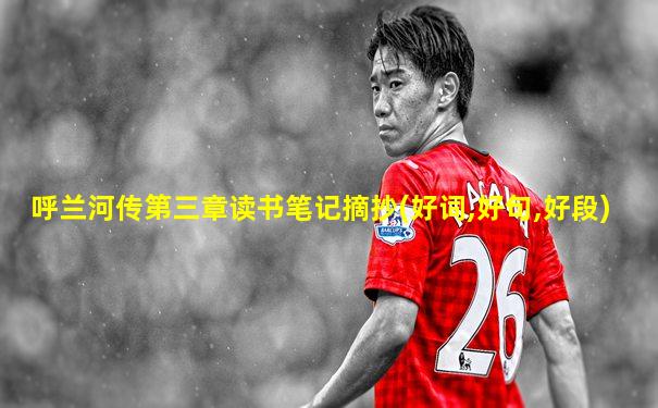 呼兰河传第三章读书笔记摘抄(好词,好句,好段)