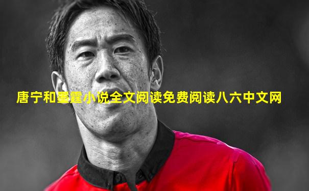 唐宁和墨霆小说全文阅读免费阅读八六中文网