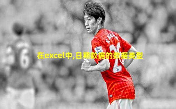 在excel中,日期数据的数据类型