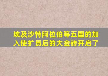 埃及沙特阿拉伯等五国的加入使扩员后的大金砖开启了