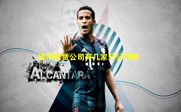 塔吊租赁公司有几家分公司啊