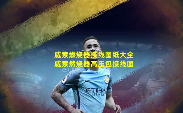 威索燃烧器接线图纸大全威索然烧器高压包接线图