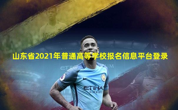 山东省2021年普通高等学校报名信息平台登录