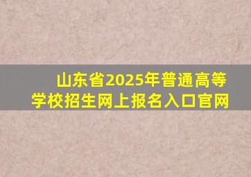 山东省2025年普通高等学校招生网上报名入口官网