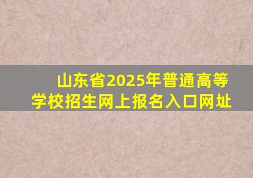 山东省2025年普通高等学校招生网上报名入口网址