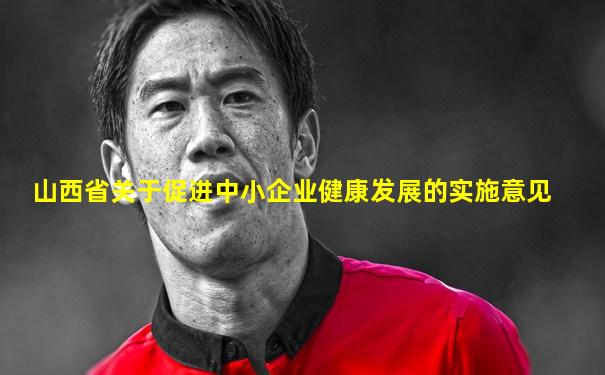 山西省关于促进中小企业健康发展的实施意见