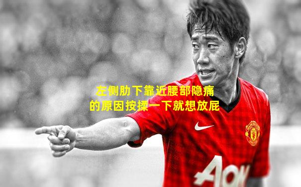 左侧肋下靠近腰部隐痛的原因按揉一下就想放屁