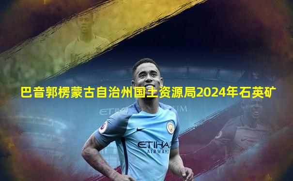 巴音郭楞蒙古自治州国土资源局2024年石英矿