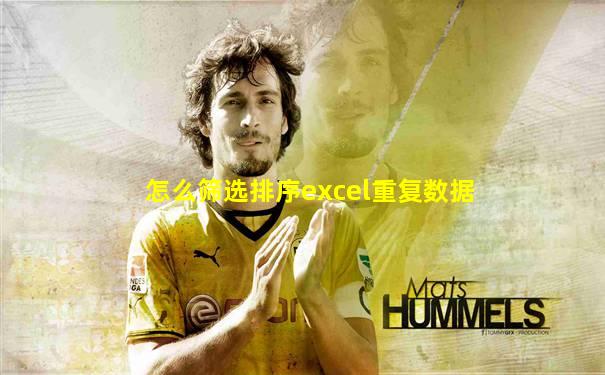 怎么筛选排序excel重复数据