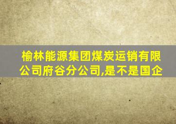 榆林能源集团煤炭运销有限公司府谷分公司,是不是国企