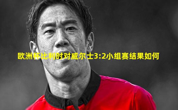 欧洲杯比利时对威尔士3:2小组赛结果如何