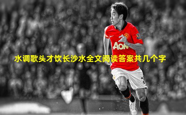 水调歌头才饮长沙水全文阅读答案共几个字