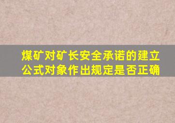 煤矿对矿长安全承诺的建立公式对象作出规定是否正确