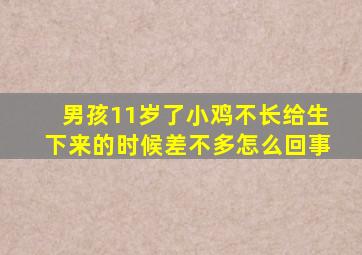 男孩11岁了小鸡不长给生下来的时候差不多怎么回事