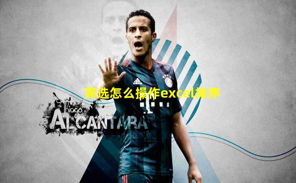 筛选怎么操作excel排序