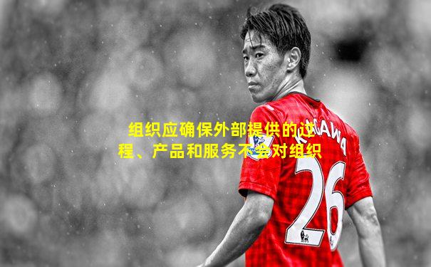 组织应确保外部提供的过程、产品和服务不会对组织