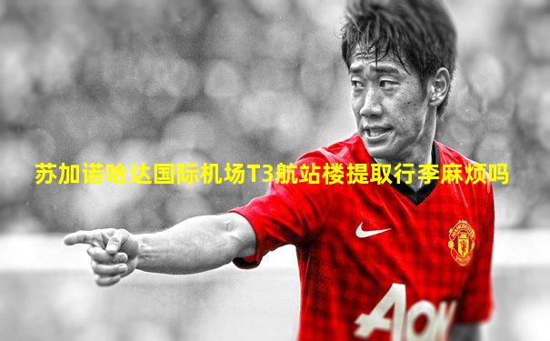 苏加诺哈达国际机场T3航站楼提取行李麻烦吗