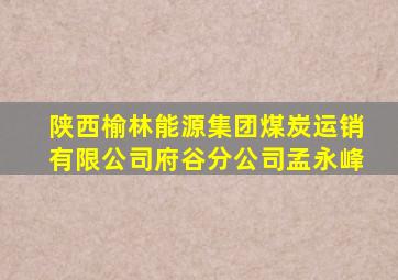 陕西榆林能源集团煤炭运销有限公司府谷分公司孟永峰