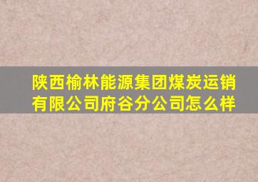 陕西榆林能源集团煤炭运销有限公司府谷分公司怎么样