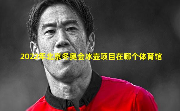 2022年北京冬奥会冰壶项目在哪个体育馆
