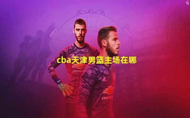 cba天津男篮主场在哪