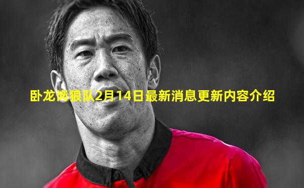 卧龙岗狼队2月14日最新消息更新内容介绍