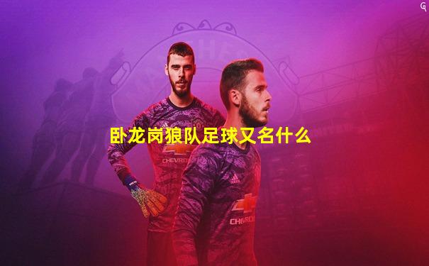 卧龙岗狼队足球又名什么