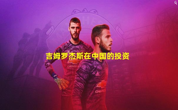 吉姆罗杰斯在中国的投资
