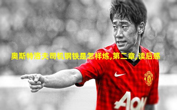 奥斯特洛夫司机钢铁是怎样炼,第二章,读后感