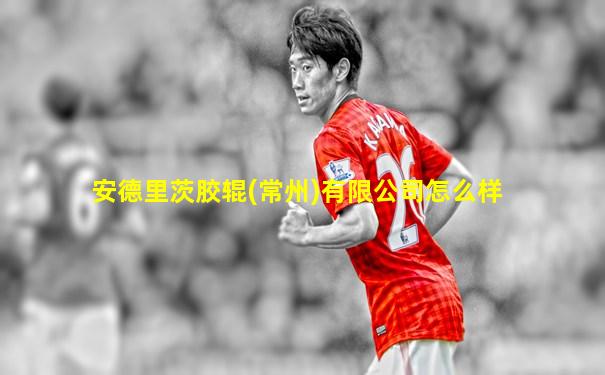 安德里茨胶辊(常州)有限公司怎么样