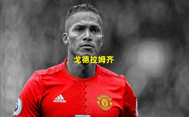 戈德拉姆齐