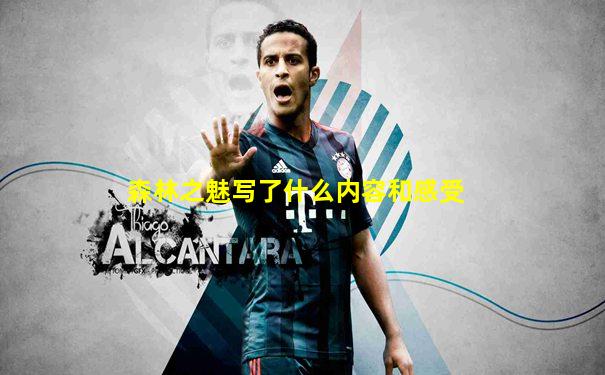 森林之魅写了什么内容和感受