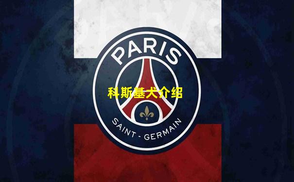 科斯基犬介绍