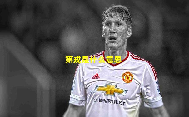 第戎是什么意思